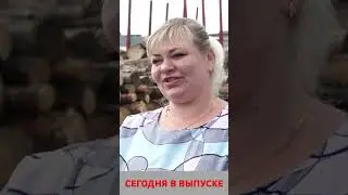 Анонс 12-08-2024
