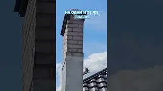 #stork