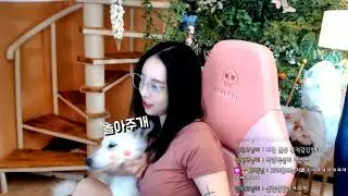 백설이는 왜 안기는걸 싫어할까? [시베리안허스키(Siberian husky,シベリアンハスキー), 시바견(Shibainu,柴犬),믹스견백설]