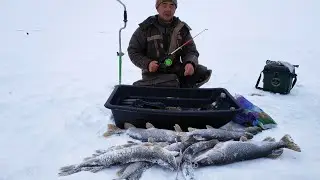 Рыбалка 2023 - 2019. Память История