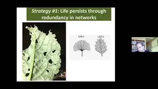 “Lessons from Nature for an Uncertain Future”