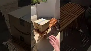 Why doesn't AMAZON ring the doorbell??