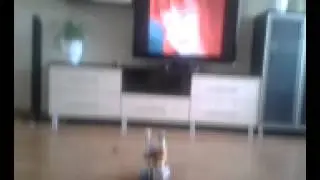 video-2013-03-30-17-20-02.mp4