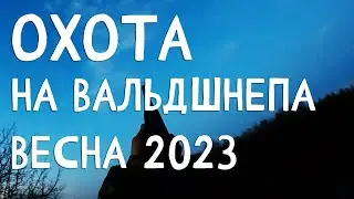 Охота на вальдшнепа Весна 2023
