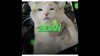 CAT OF THE DAY FANCAM 5