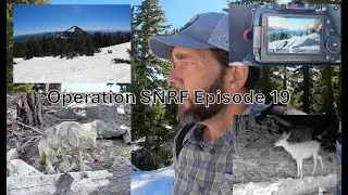Operation SNRF Episode 19 - Back At It