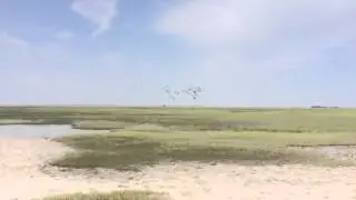 Monkey Island SC