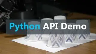 Python API X-Series Arm Demo