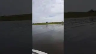 video 0 02 01 3d65c39f567fd5d86abd9921992a170b25da3eebcacf21df978aca65bc15b7ca V