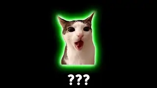 10 Crunchy Cat Sound Variations in 35 seconds