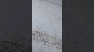 школа👎👎👎