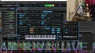 SUMMER MADNESS cover
