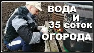Современный огород и довольная жена.Капельный полив, бочки, рассада.