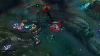 zed Fun