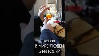 МИЛАЯ БАБУЛЬКА- СЕРИЙНАЯ УБИЙЦА.