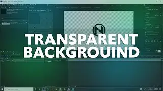 How to Render an Animation With Transparent Background in After Effects!