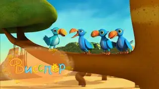 😺🌺 5 целых эпизода 3 | без перерыва | Висспер 🌺