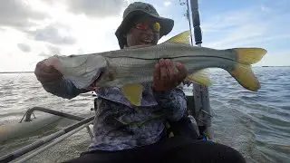 Mullet Chunks + Weighted Circle Hooks = Big Pine Key Snook