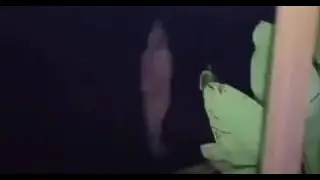 A pocong ghost caught on video in Indonesia
