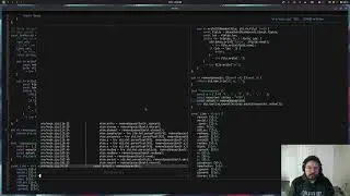 Cleaning up Fast PDB Parser for Zig - VOD (10/02/2023)