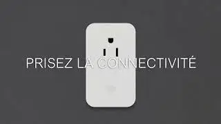 Les Dispositifs De Câblage de Série X | Schneider Electric