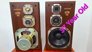 Inside the Insane Internal Build of the Diatone DS-37HRV Speaker (Made in Japan)