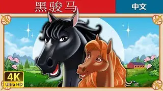 黑骏马 | Black Beauty in Chinese  | @ChineseFairyTales