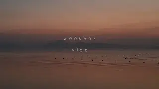 [Solitary Trip] VLOG) Pink in the blue sea / Go to the mountain alone on a foggy day /Quiet man vlog