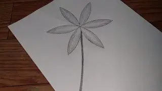 Compass Flower🌸 | Compass flower drawing | easy drawing | viral video