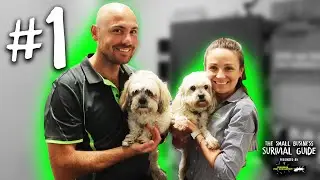 Episode 1 - Building a Business and a Life | Small Business Survival Guide