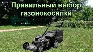 Какую купить газонокосилку?