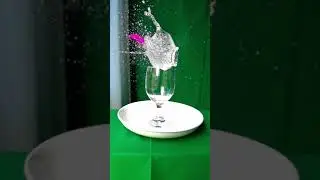 Dot Balloon pop 10!! relaxing balloon pop pop