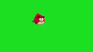 Angry birds green screen