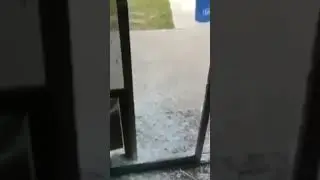 Возьми себе собаку говорили они, будет весело утверждали они..🤣