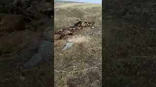 с.Ворошиловка, Карабалыкский район/ Костанайские новости