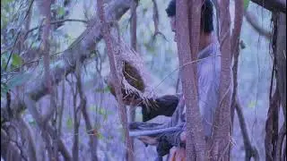 Utuh purun Raja haliling