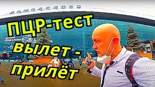 Тест на ковид, коронавирус в Домодедово и по прилёту