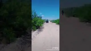 Ejercito mexicano👊👊👍👍🤘🤘