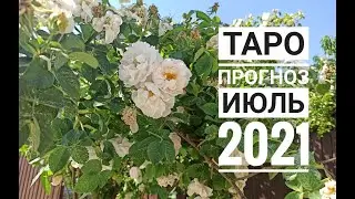 ТАРО ГОРОСКОП ДЕВА июль 2021
