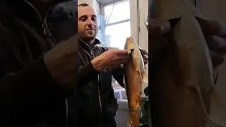 Вот какая рыбка у нас