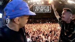 ADELIFE