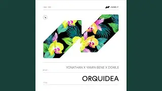 Orquidea