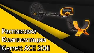 Распаковка комплектации Garrett ACE 200i