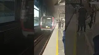 Поезд Москва-2019(81-765.2) прибывает на станцию Потапово (1) г. Москва