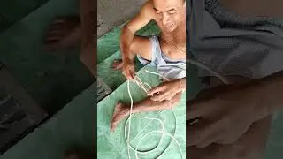 hót nhất cách cột dàm bò chỉ một sợi dây gồm cổ và dây khớp day mũi và dây cột