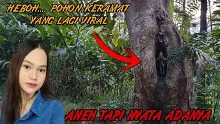 HEBOH....POHON KERAMAT SEPERTI KLAMIN W4NITA