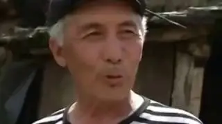 Харам или халал? Ослиное молоко пьют для излечения болезней в Кыргызстане.