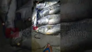 MATANYA MENYALA SENDIRI MENAKUTKAN