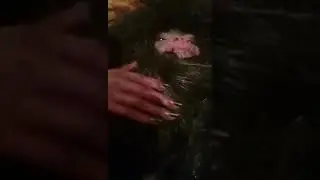 Шок ! В Дагестане поймали реального домового