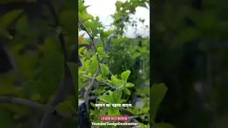 Sawan Ka Pehla Badal Uska Kajal Ban Jaye #shorts #sawan #bholenath #badal #rain #harharmahadev